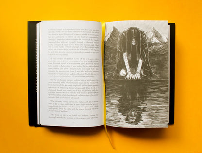 Frankenstein by Mary Shelley, illustrated by Matthew Broughton. Internal illustration of the monster seeing his reflection for the first time.