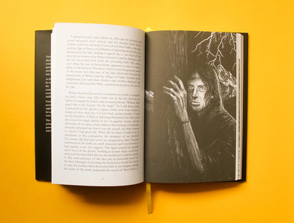 Frankenstein by Mary Shelley, illustrated by Matthew Broughton. Internal illustration of the monster as he hides in the woods.